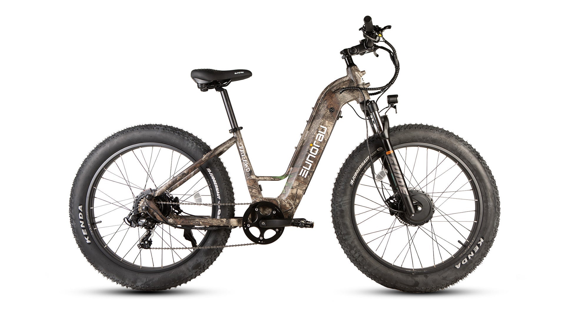 FAT Tire All-Wheel Drive Electric Bike - Step - Thru