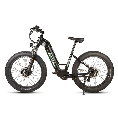 FAT Tire All-Wheel Drive Electric Bike - Step - Thru